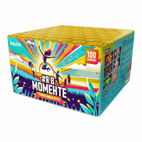 Ya v momente